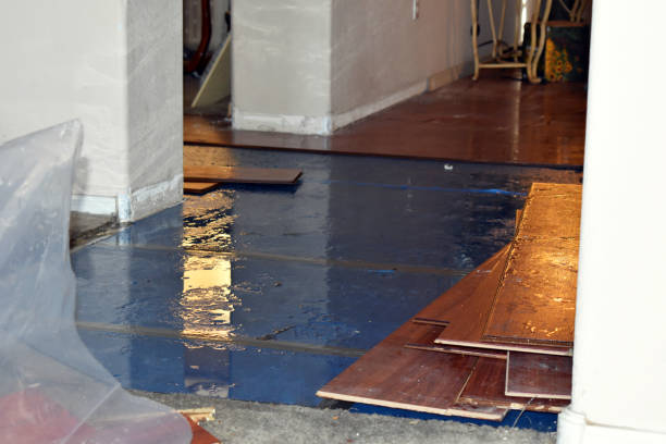 Professional Basement Flood Cleanup technician working in Babcock, WI